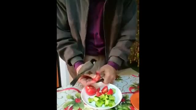 My bird checks my Salad recipe