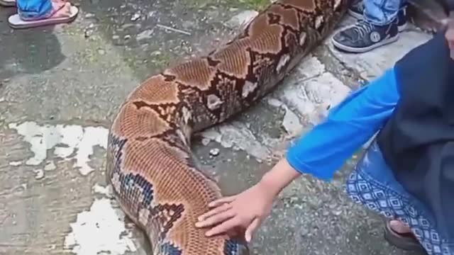 what a danger