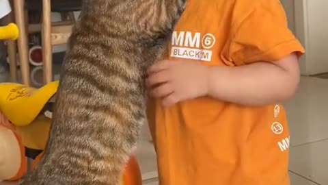 Baby and cat vs