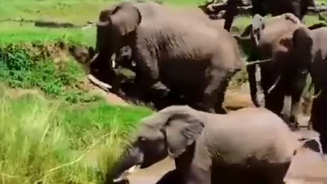 Mom comes to the rescue