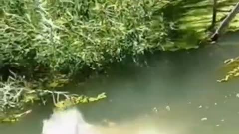 The pinnacle of fishing. Small and big