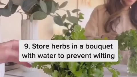 9 amazing hacks to minimize food wastage and keep your food + veggies fresher for longer
