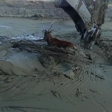 Don’t know where this happened. But it’s cool.