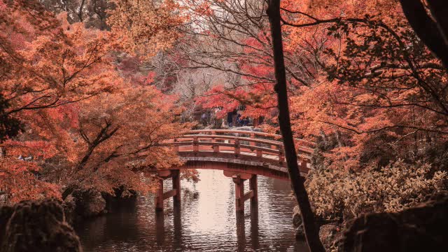 3 HOURS OF RELAXING WITH THE JAPANESE BAMBU Flute