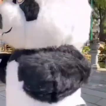 Dum Dam Tankar Tukur Funny Panda Reels Panda Funny Status for Whatsapp reels shorts