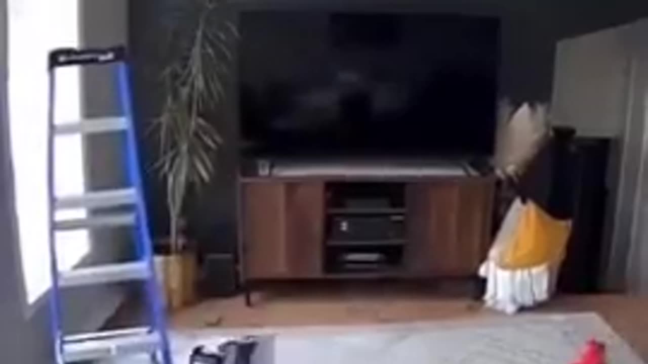 Gotta love kids