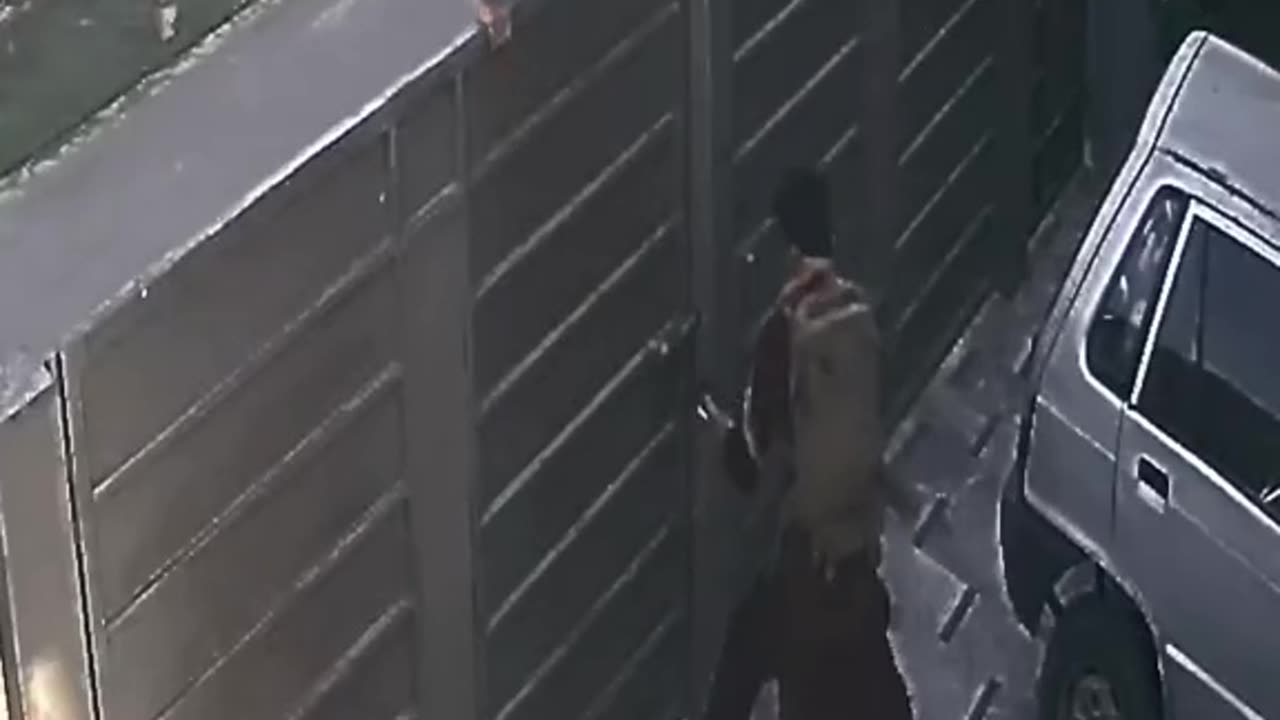 Funny Video