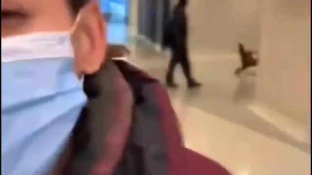 viral videos