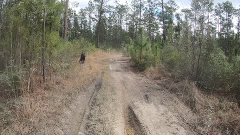 Bethel OHV Test Upload