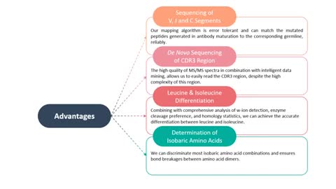 antibody de novo sequencing