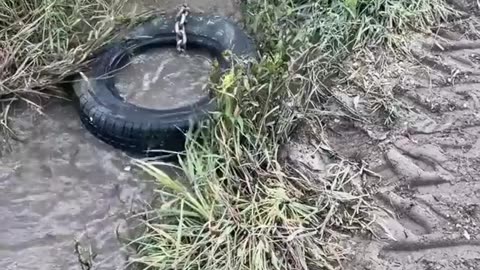 Best way to clean culvert