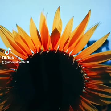 افضل راحة نفسية