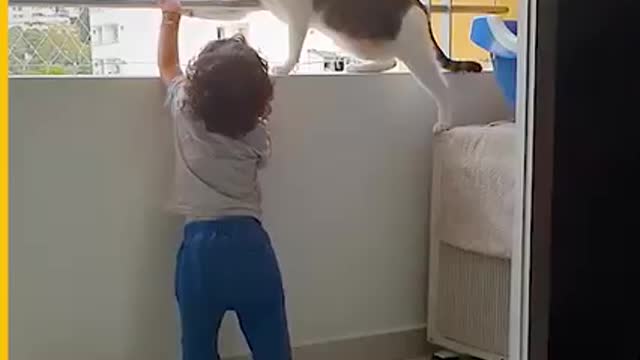 Cute cat playing with a cute baby