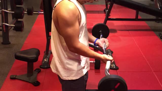 My Biceps Workout 2