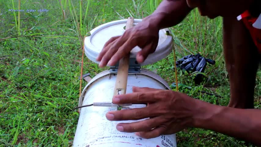 Wild cat trap using plastic container