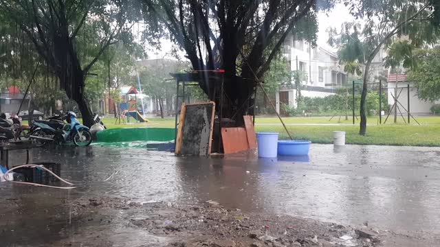 Chuẩn bị tết mà....