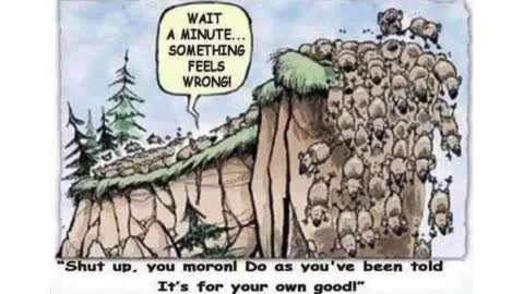 DO As You've Been Told!