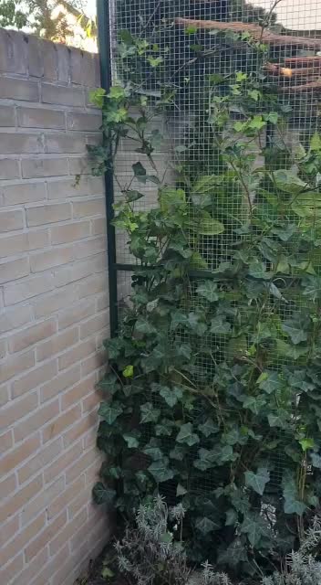 Tuin van mijn schoonvader opgeknapt.