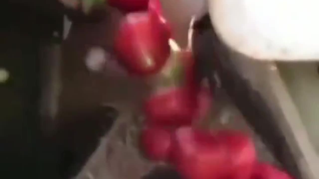 Tomato sorting