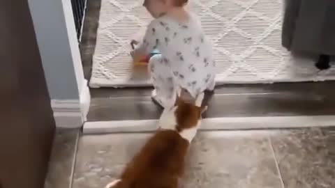 Cat catch the baby 😂