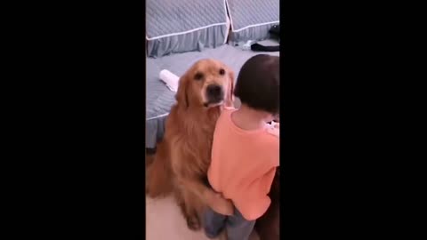 DOG defending baby