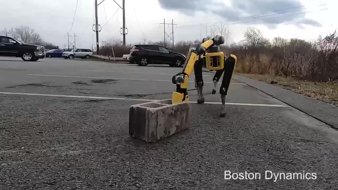 The new robot dog