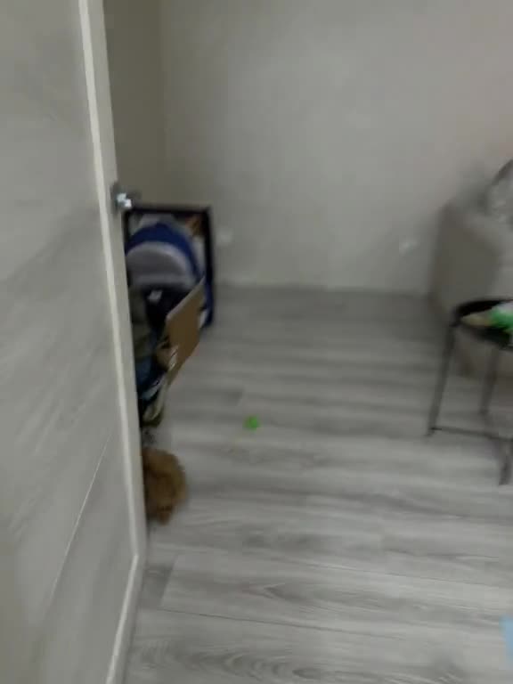 You give me attention and play with me now 🤣