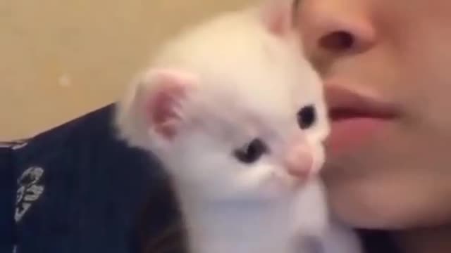 A very kiss cate
