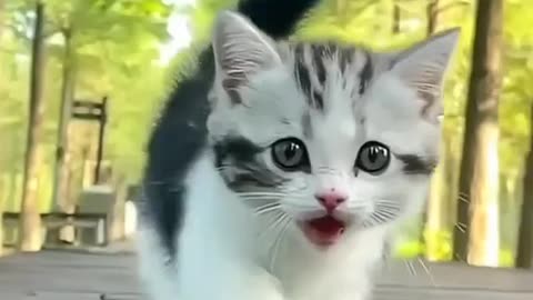 Beutlfu baby