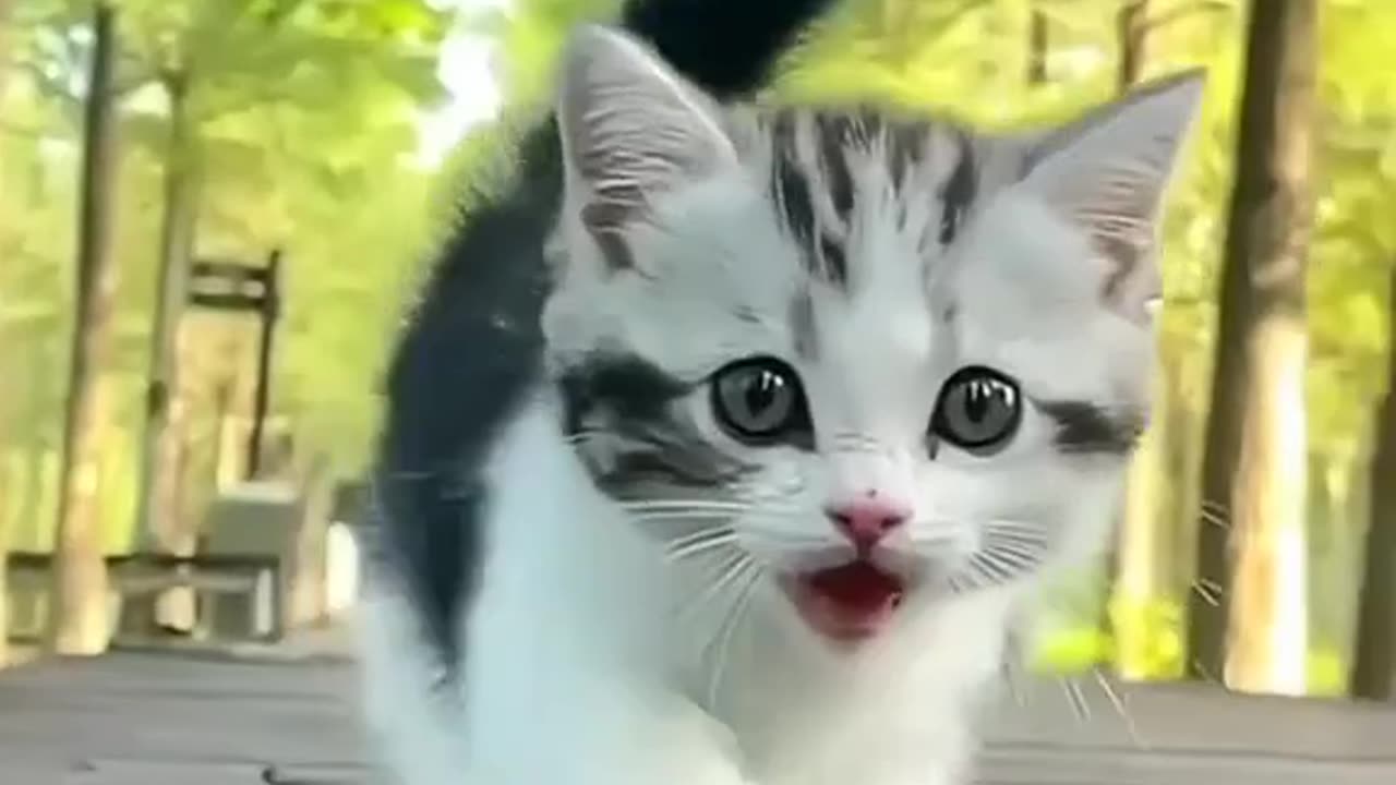 Beutlfu baby