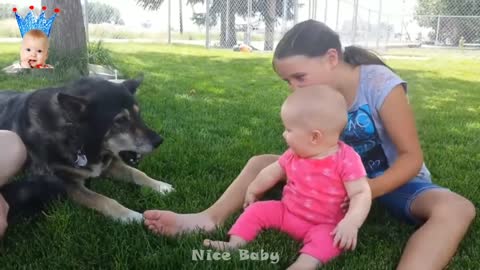 Innocent babies playing with animals