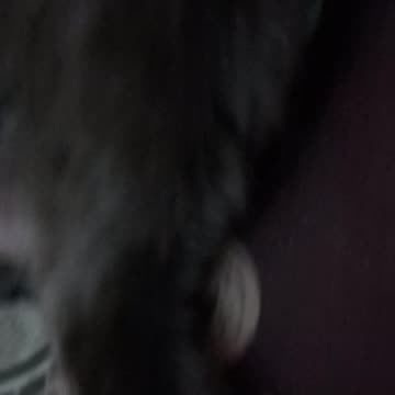 Funny position for my sleeping cat