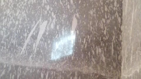 Gypsum Guy Algeria