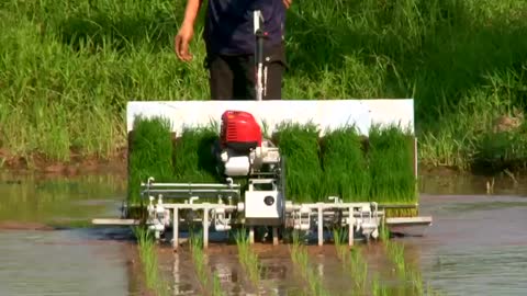 How to use rice planting machine