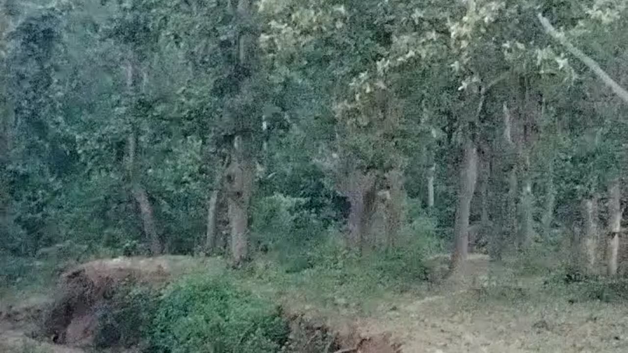 Natural