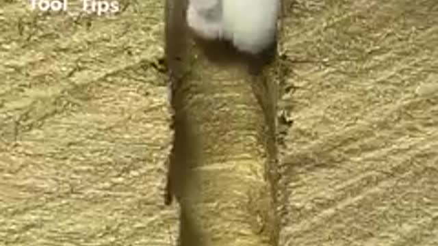 Amazing nuts