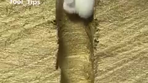 Amazing nuts