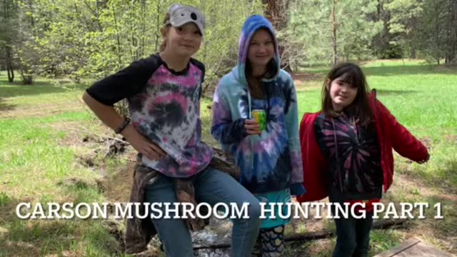 Carson Mushroom Hunting part 1