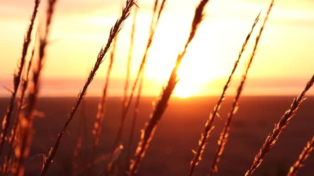 SunSet - Beautiful Nature Clips