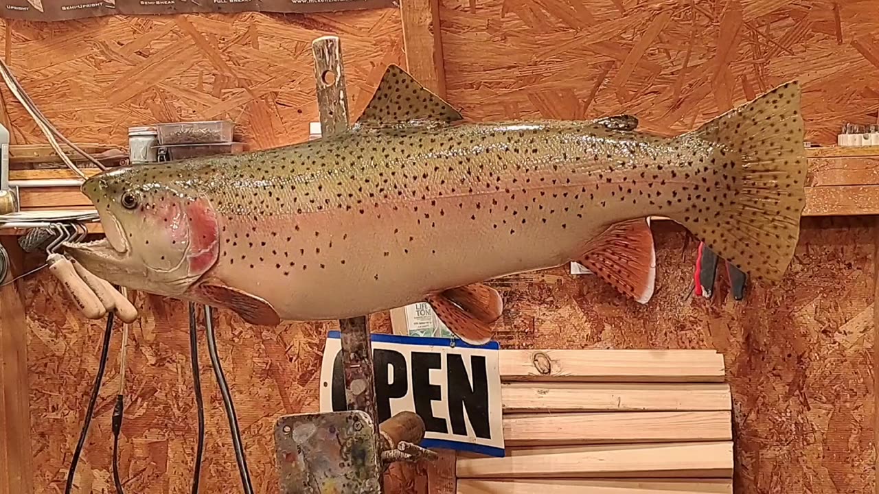 How to Prep/ Paint a Reproduction Rainbow Trout