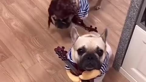 What is the best way to train a dog
