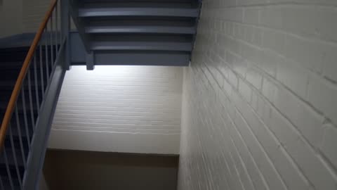 3869FHOB01Stair6_2021-01-06_10h20min00s927ms.mp4