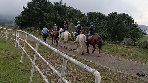 Horse riding(3)