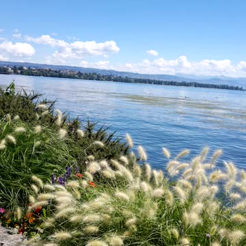 Wonderful nature of Switzerland