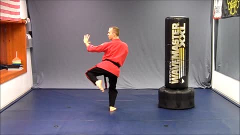 Basic Skillz Orange Belt - Blue Stripe