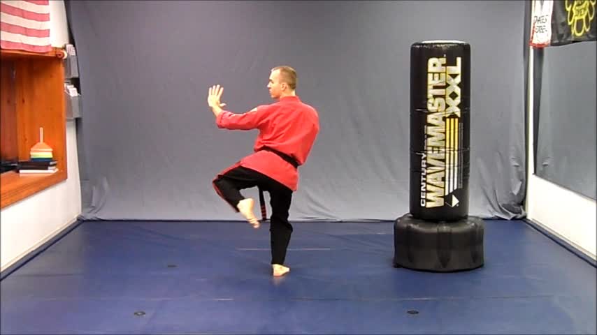 Basic Skillz Orange Belt - Blue Stripe