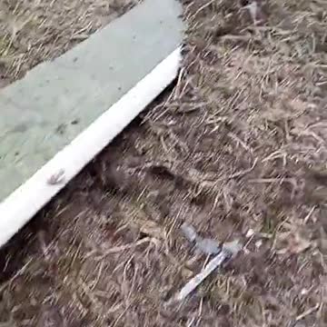 Ukraine War - More Footage of Destroyed Helicopter