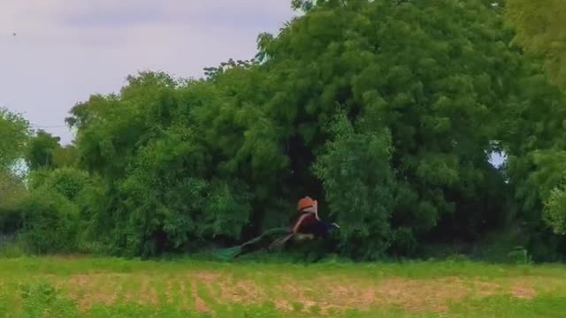 Beautiful seen india