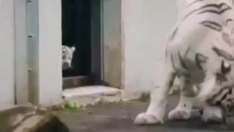Hi mom!