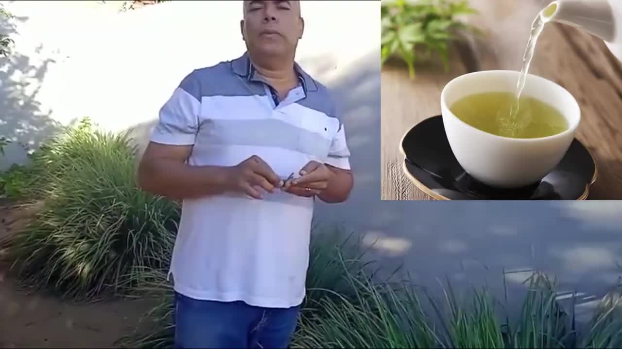 Chá Santo para insônia e problemas intestinais
